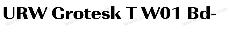 URW Grotesk T W01 Bd字体转换